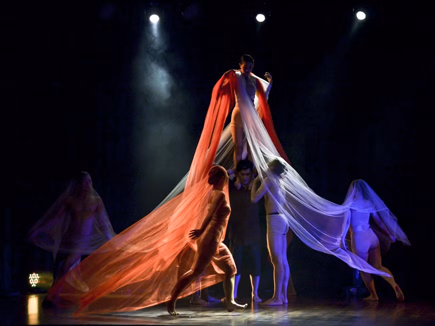 Un performance de artistas vietnamitas (Fuente: Vietnamplus)