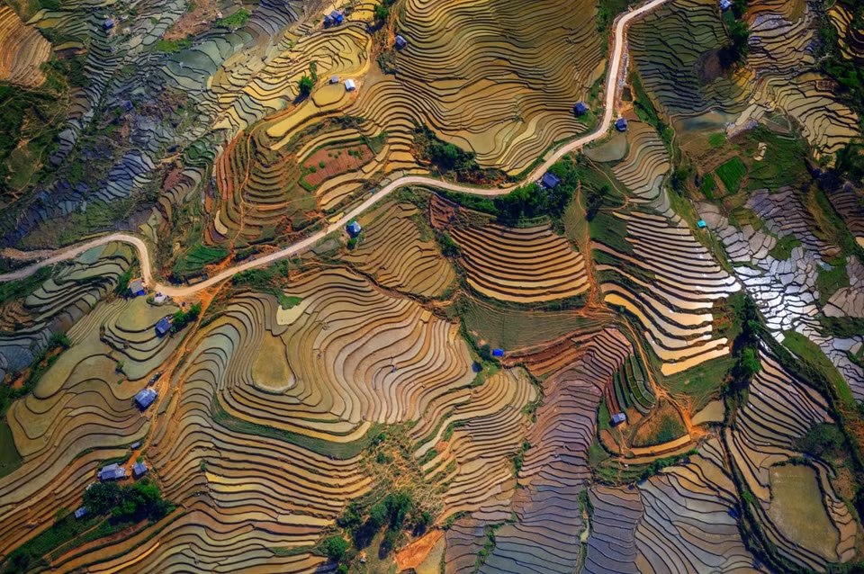 “Colores de campos con terrazas arrozales” es la obra del autor Nguyen Tan Tuan. (Fuente: vnexpress.net)