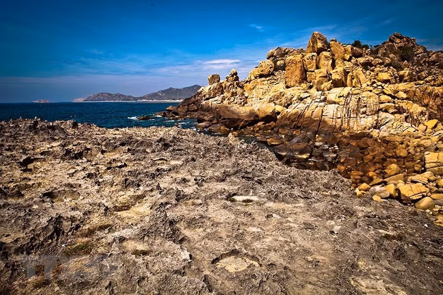 Áreas de rocas, antiguos arrecifes de coral datados de millones de años en el complejo turístico de la Reserva de la Biosfera de Nui Chua. (Foto: VNA)