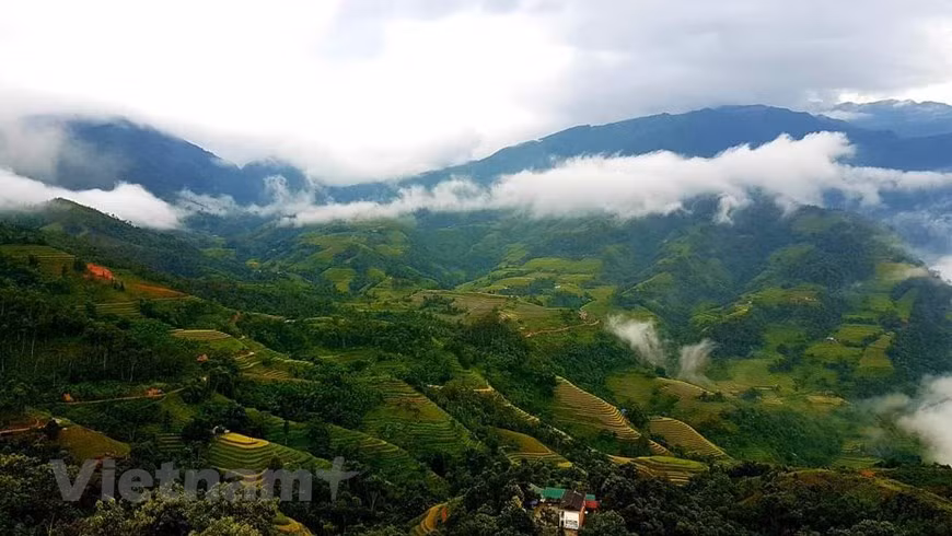 El paisaje de Hoang Su Phi en cualquier momento siempre acapara la atención especial de los turistas. (Foto de VNA)