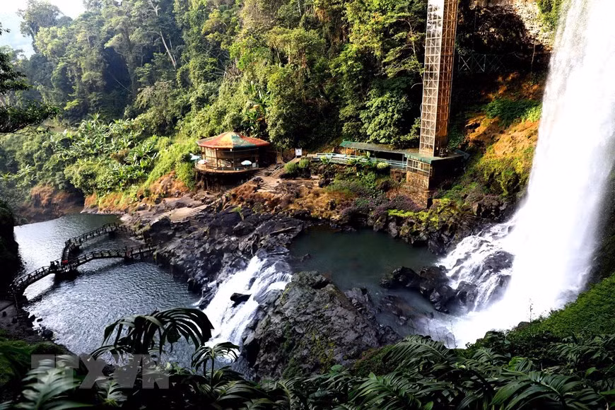 Alrededor de la cascada Dambri hay una cubierta vegetal rica y diversa con coloridas flores que florecen durante todo el año. (Foto: VNA)