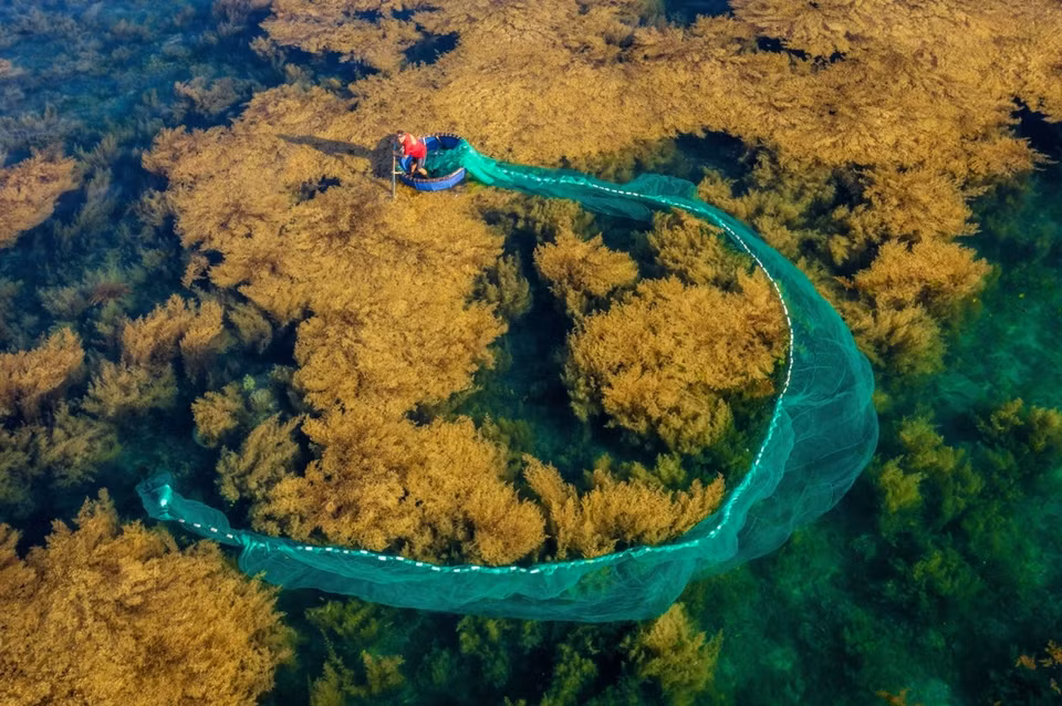 La obra “Los pescadores arrojan redes en el mar de Nhon Hai, provincia de Binh Dinh, en el centro de Vietnam” del fotógrafo Nguyen Phuoc Hoai. (Fuente: vnexpress.net)