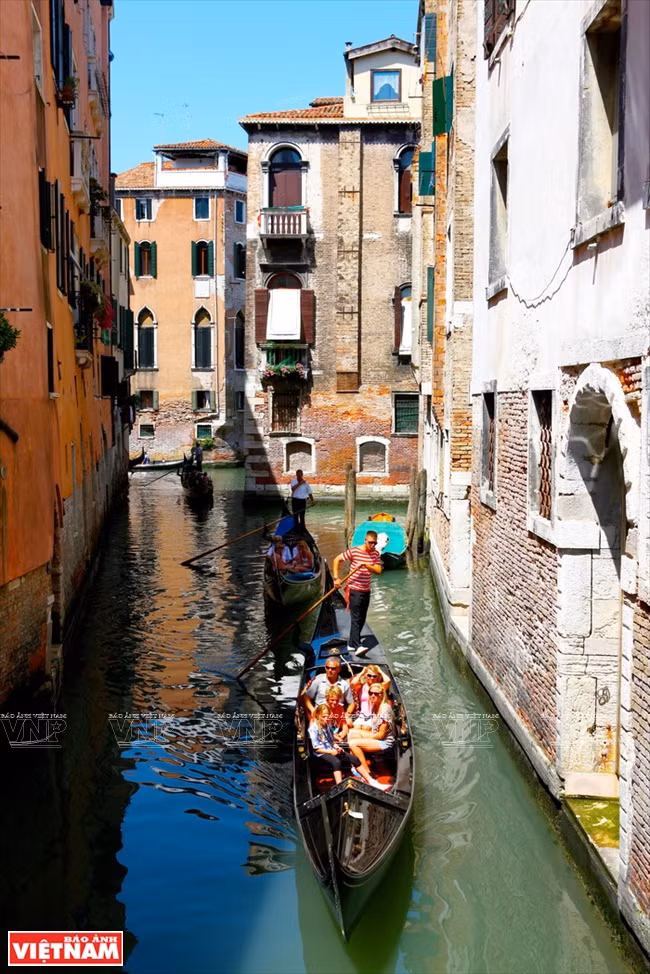 Venecia