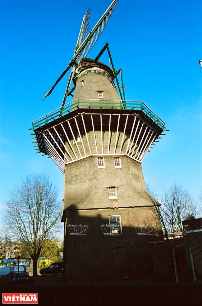 Molinos de viento, símbolo de Holanda. 