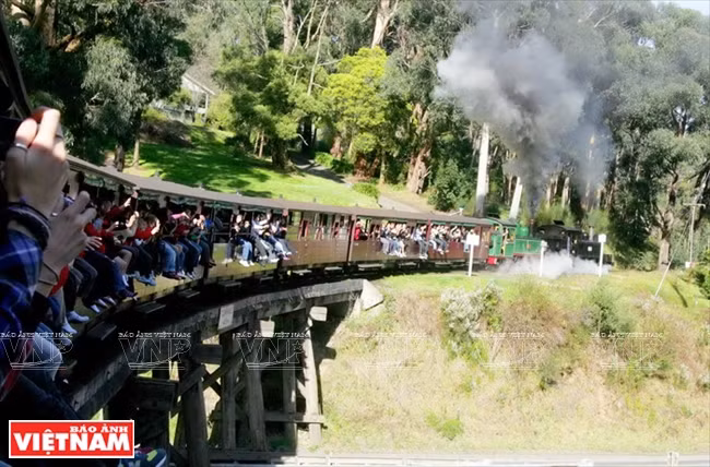 Partiendo desde la estación Belgrave en Melbourne, el tren de vapor Puffing Billy arranca en espacio de una Australia de los comienzos del siglo pasado.