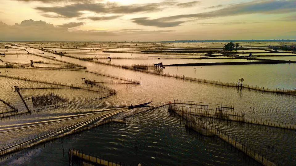 No Sao, un modelo antiguo de pesca en la laguna Chuon. (Foto: VNA)