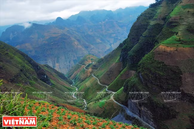 El paso Ma Pi Leng es conocido como el rey de todos los pasos de montaña en Vietnam (Fuente: VNA)./.