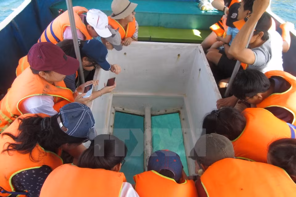 Turistas contemplan el fondo del mar a través de un vidrio puesto en el barco (Fuente: VNA)