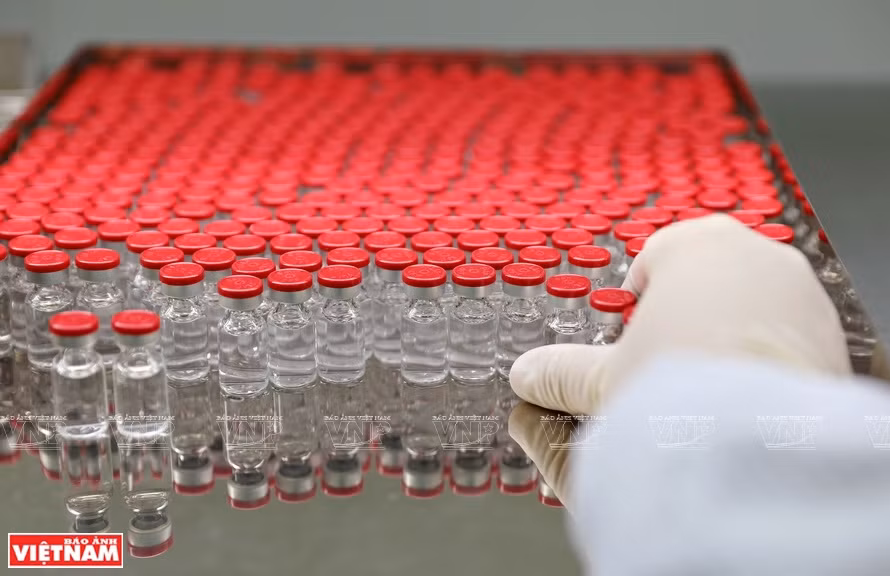La etapa de escaneo para detectar cuerpos extraños o impurezas se realiza de forma manual, con la participación de casi 10 personas en este paso (Fuente: VNA)