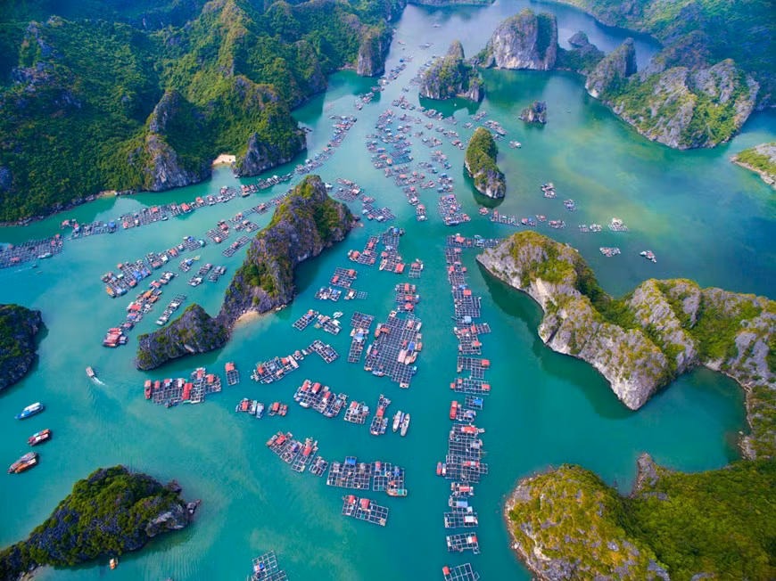 La bahía de Lan Ha es una tranquila rada en forma de arco con unas 400 islas de distintas formas y tamaños. (Foto: Vietnam+)