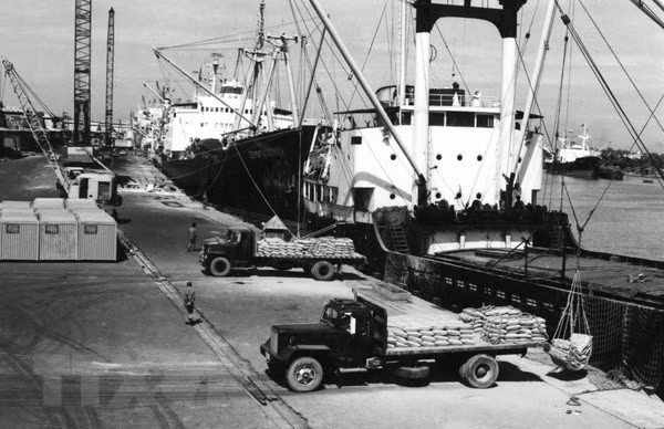 El 5 de abril de 1988, el Buró Político emitió una Resolución sobre la renovación de la gestión económica agrícola. Tan solo un año después, de un país que tenía que importar alimentos, Vietnam no solo garantizó el suministro de alimentos a nivel nacional, sino que también exportó más de un millón de toneladas de arroz. En la foto: Exportación de arroz en el puerto de Saigón (Foto: VNA)