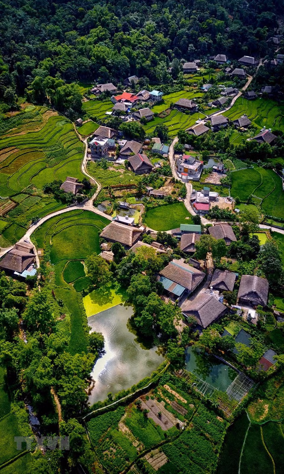 Terrazas de arroz (Fuente: VNA) 
