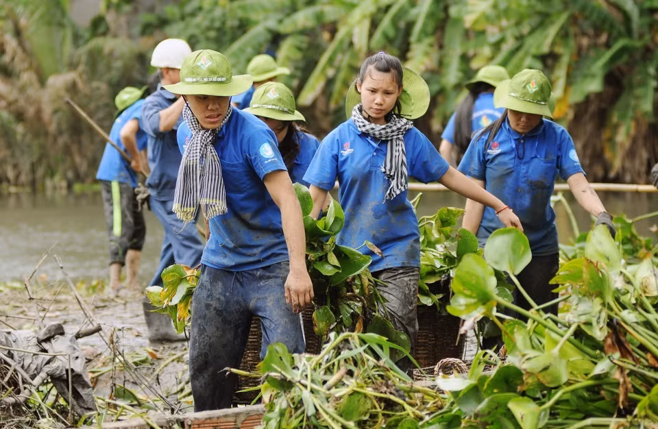 Jóvenes y estudiantes voluntarios participan en la tarea de recolectar jacintos de agua para facilitar la circulación del flujo hídrico en el canal Ong Tong, distrito de Go Vap, Ciudad Ho Chi Minh. (Fuente:VNA)