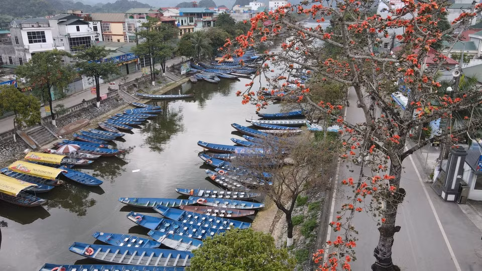La imagen de un algodonero rojo al costado de la carretera crea una escena tranquila en la aldea norteña de Vietnam. (Fuente: VNA)