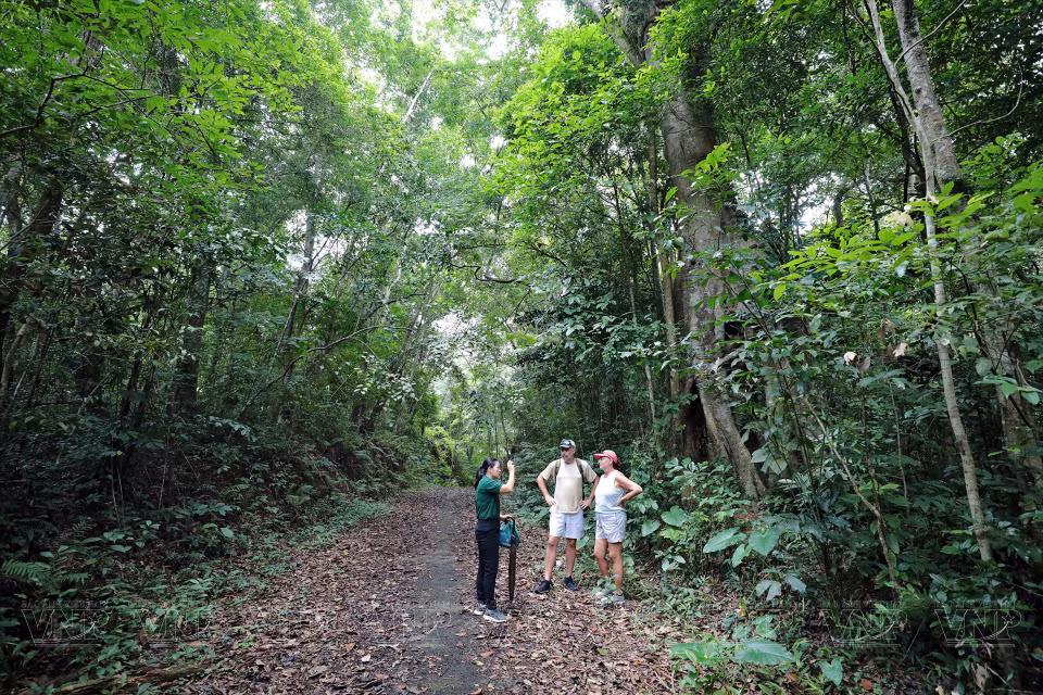 En el recorrido habrá un guía turístico que introduce información a los visitantes.