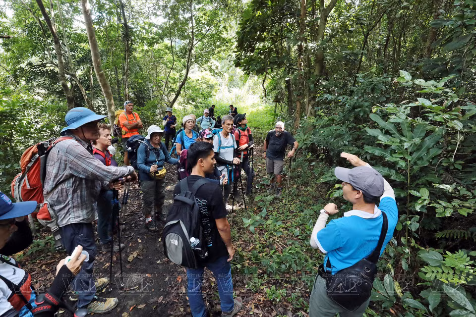 Turistas exploran rutas de senderismo en el Parque Nacional Cat Ba.