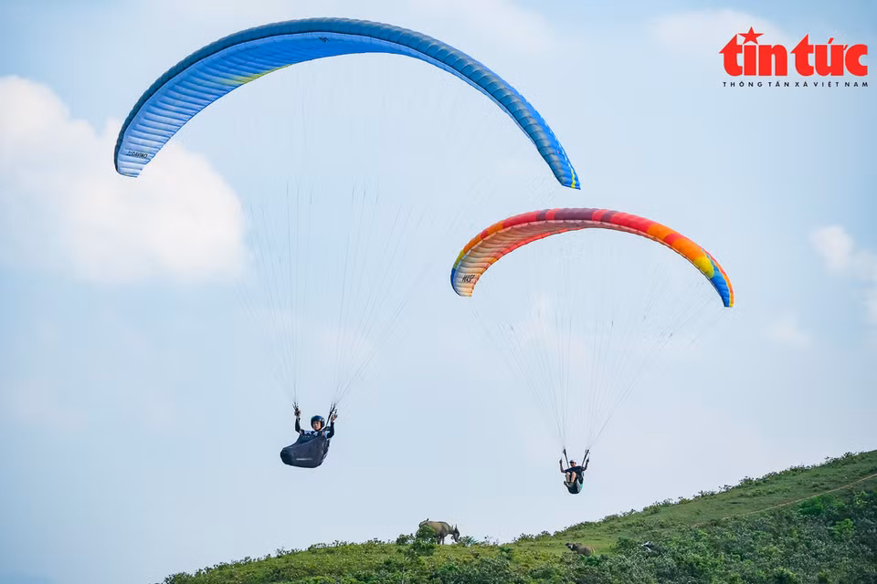 La mayoría de los pilotos son personas con muchos años de experiencia y han sido certificados para volar. (Foto: VNA)