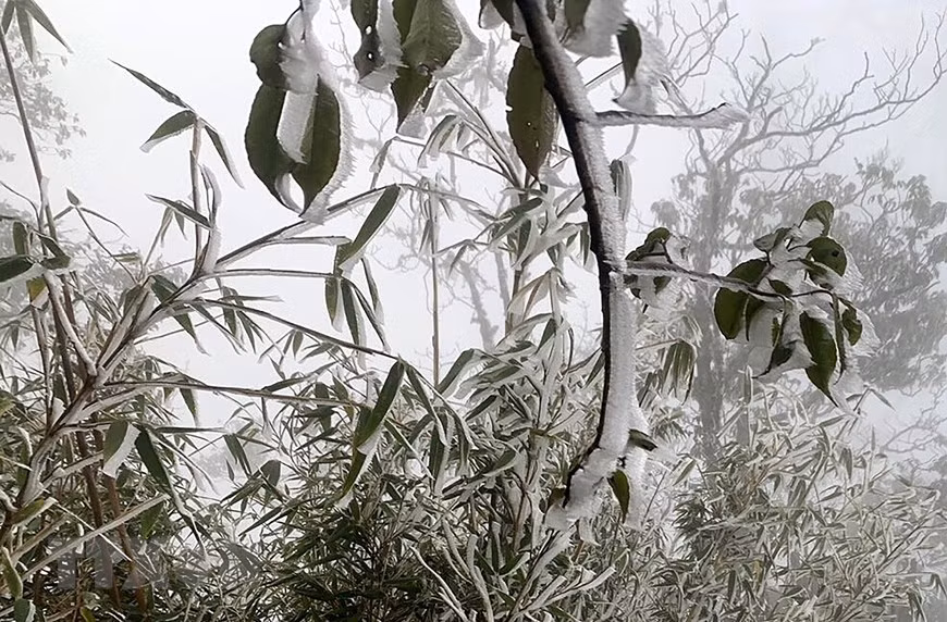 En el área de la cima Fansipan, la temperatura cae por debajo de cero grado Celsius (Fuente: VNA)