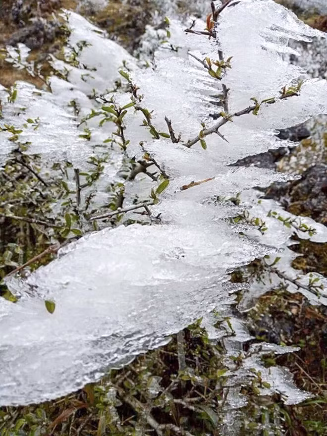 Nieves cubren paso O Quy Ho (Fuente:VNA)