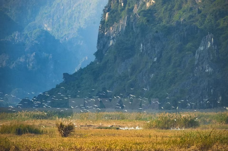 Romántico paisaje de Van Long 