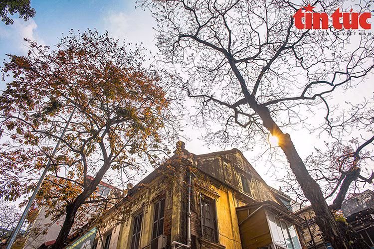 Una escena poética de Hanoi. (Fuente: VNA)