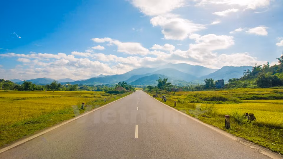 Después de dos horas viajando en la moto desde la ciudad de Ha Long, se encuentran los dorados campos del distrito de Binh Lieu (Fuente: VNA) 