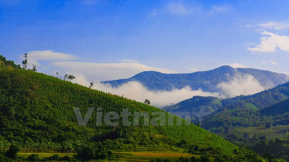 La majestuosidad de montañas y bosques (Fuente: VNA)