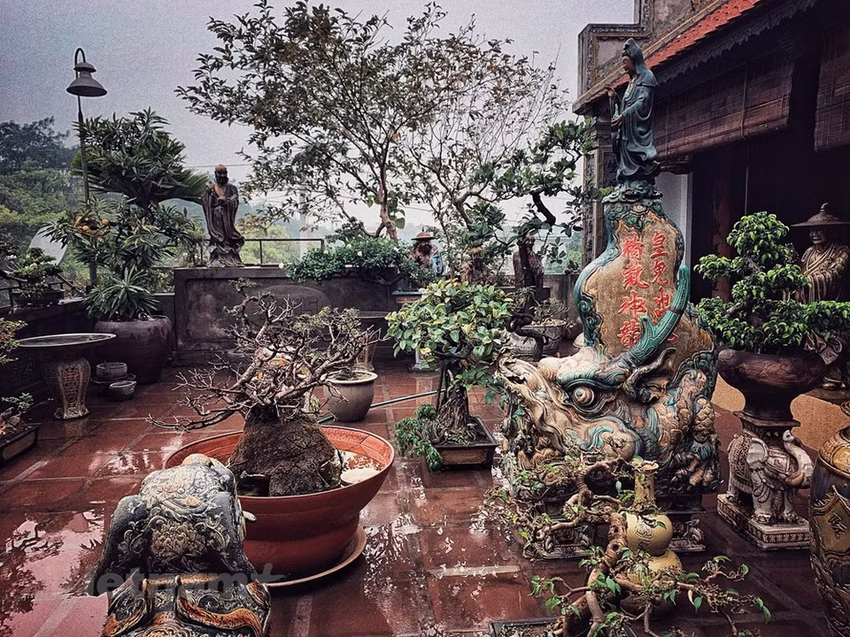 Este es un espacio de adoración sagrado cuidadosamente conservado que se encuentra en cada casa de cinco compartimentos en el delta del río Rojo. Expresa la riqueza del propietario. La capital vietnamita es el corazón cultural de Vietnam y una ciudad encantadora donde los templos y pagodas antiguas se sitúan juntos con las callejuelas y barrios coloniales. Al llegar a Hanoi, los viajeros tienen la oportunidad de recorrer diferentes lugares atractivos como el puente de The Huc, el lago de Ngoc Son, el Mausoleo de Ho Chi Minh, el Templo de la Literatura -reconocido como la primera universidad del país- y el lago Oeste, además de disfrutar de la variada gastronomía capitalina (Fuente: Vietnam+)