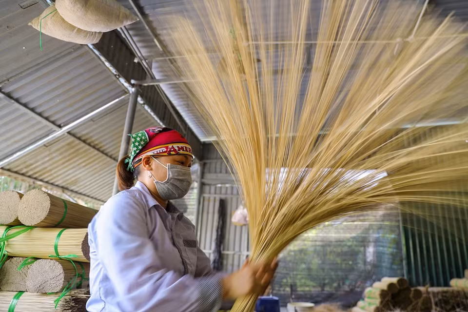 La aldea de Quang Phu Cau se hizo famosa por la producción de inciensos hace muchos siglos. Las varitas de inciensos secadas bajo el sol cubren todos los rincones de la localidad con un rojo radiante, mientras los residentes locales trabajan con diligencia. Muchas familias en la aldea han preservado el oficio durante más de cien años y están muy orgullosas de la profesión. Anteriormente, la elaboración de inciensos se consideraba como un trabajo extra de los campesinos durante el tiempo libre de las faenas agrícolas. Hoy día, se ha convertido en un oficio y genera puestos de trabajo para muchos locales. El ingreso mensual de un aldeano suele duplicarse en la época del año nuevo lunar. (Foto: Vietnam+) 