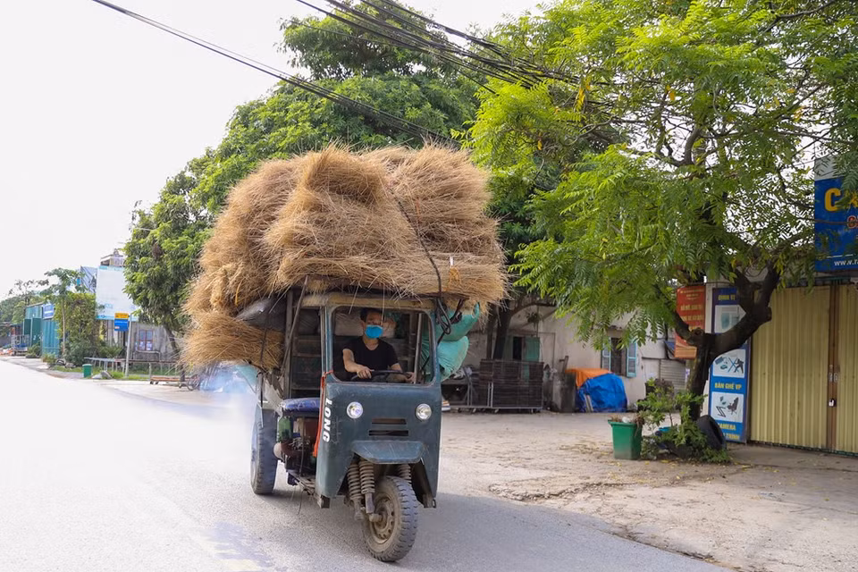 . Las varillas de incienso de Quang Phu Cau no solo son preferidas por los clientes nacionales, sino también se exportan a muchos países. A pesar de muchos altibajos, el trabajo de hacer inciensos ha ayudado a que la vida de los pobladores locales mejore significativamente. Las casas se construyen y se modernizan, mientras el sistema de carreteras se ha mejorado para satisfacer las necesidades de las personas de viajar y hacer negocios. La elaboración de varillas de incienso en la aldea de Quang Phu Cau incluye muchos pasos, como cortar bambú, mojar las varillas en tinte rosa, secarlas al aire libre y producir pasta de incienso. (Foto: Vietnam+) 