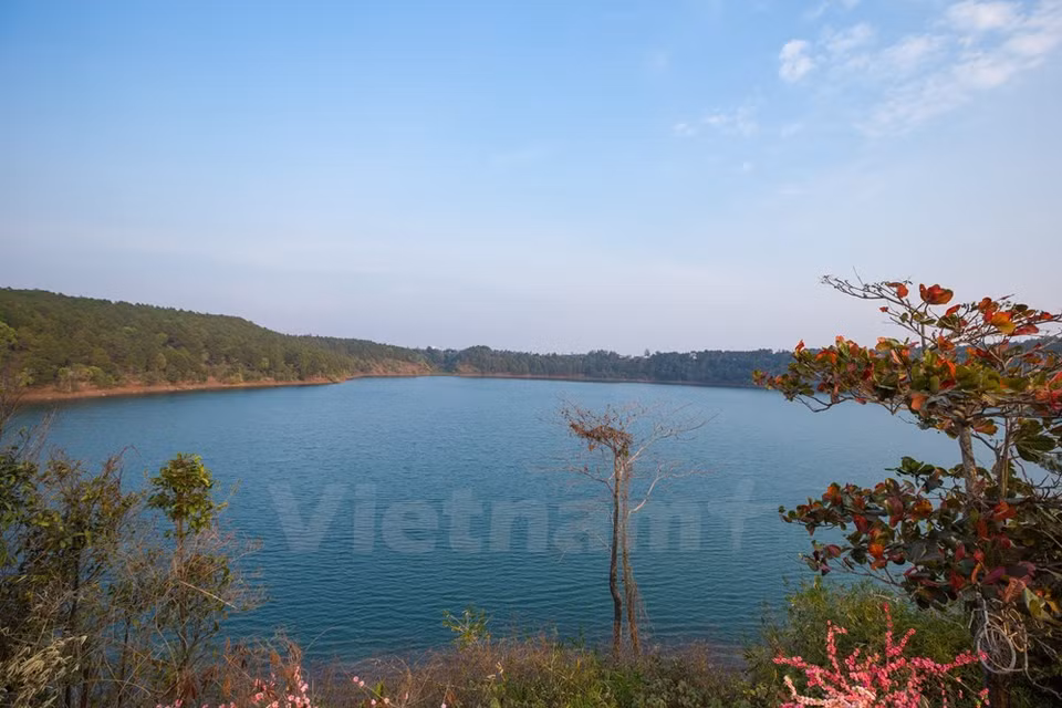Lago de Bien Ho se encuentra a una altitud de más de 8.000 metros. Está a casi 10 km de la ciudad de Pleiku (Fuente: VNA)