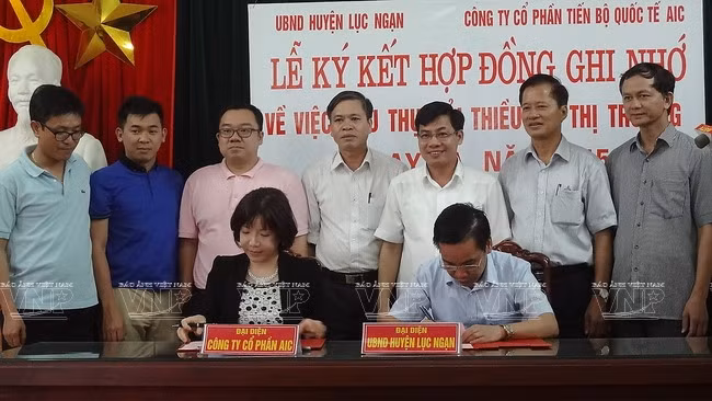 El Comité Popular del distrito de Luc Ngan firmó con la sociedad anónima AIC un acuerdo sobre el suministro de lichis para la exportación (Fuente: VNA)
