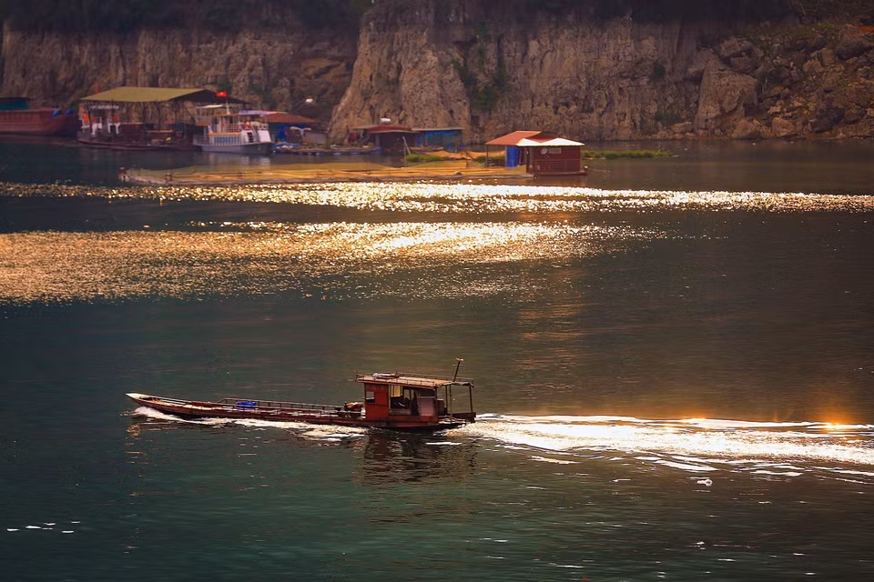 Escena tranquila en la tarde de otoño, con el sol dorado que brilla en la superficie del lago Hoa Binh. (Foto: VNA)