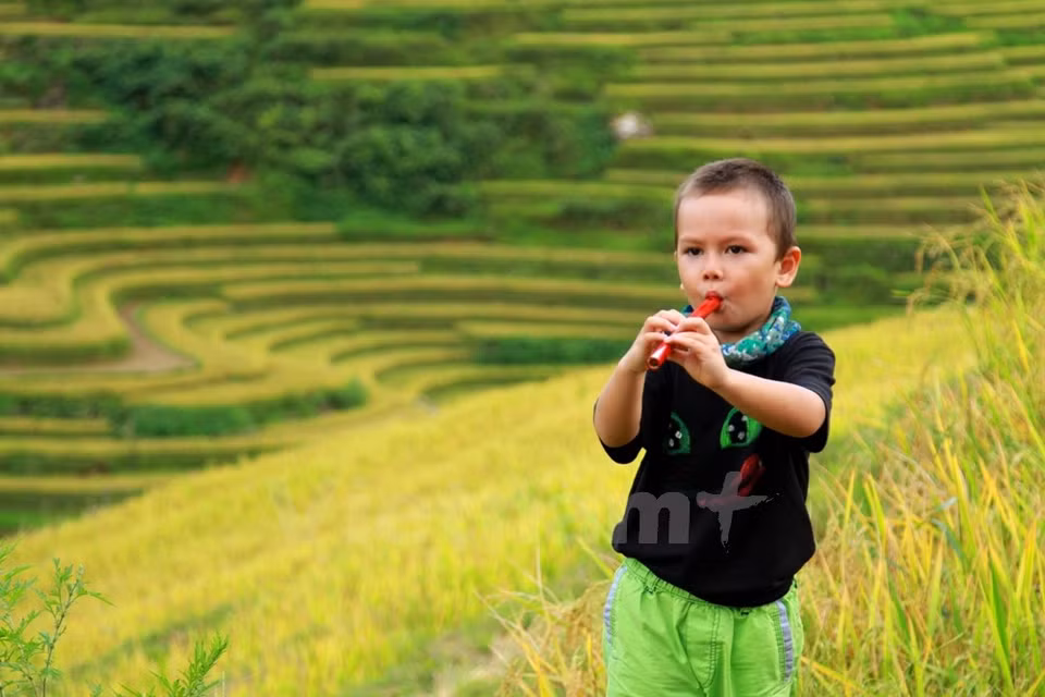 Hijo de una paracaidista procedente de Ciudad Ho Chi Minh (Fuente: VNA)
