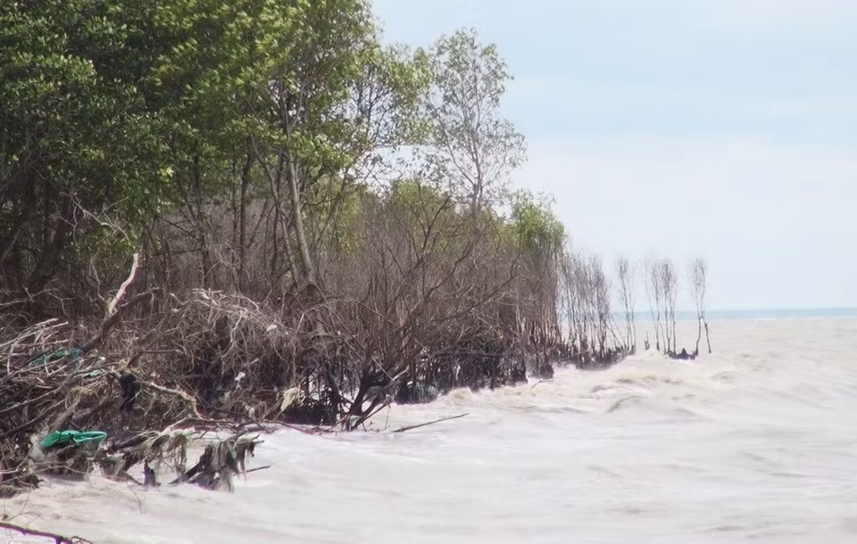 La erosión costera amenaza seguridad de diques marítimos en provincia survietnamita de Tien Giang (Fuente:VNA)