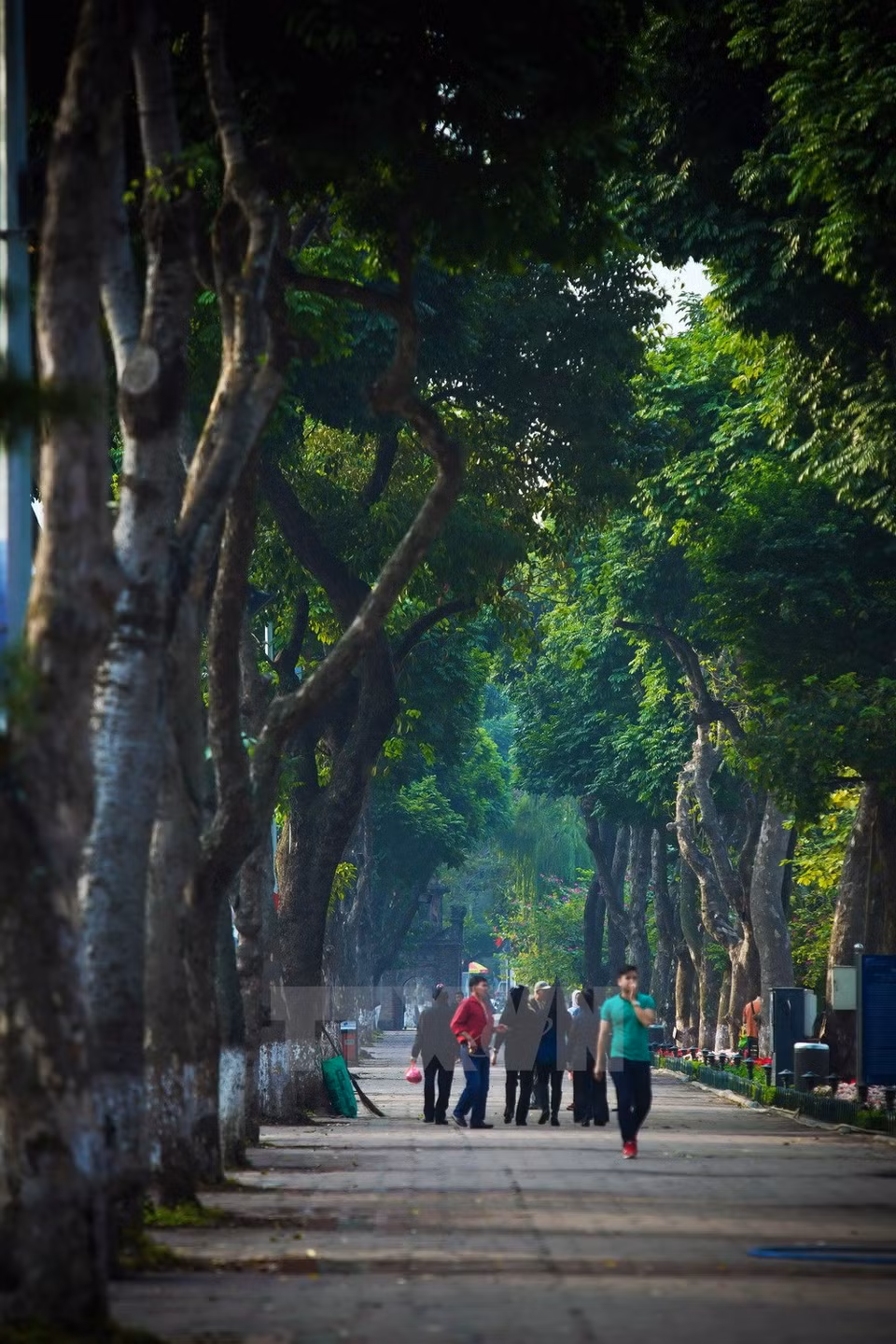 Al lago del Lago Hoan Kiem (Fuente: VNA)