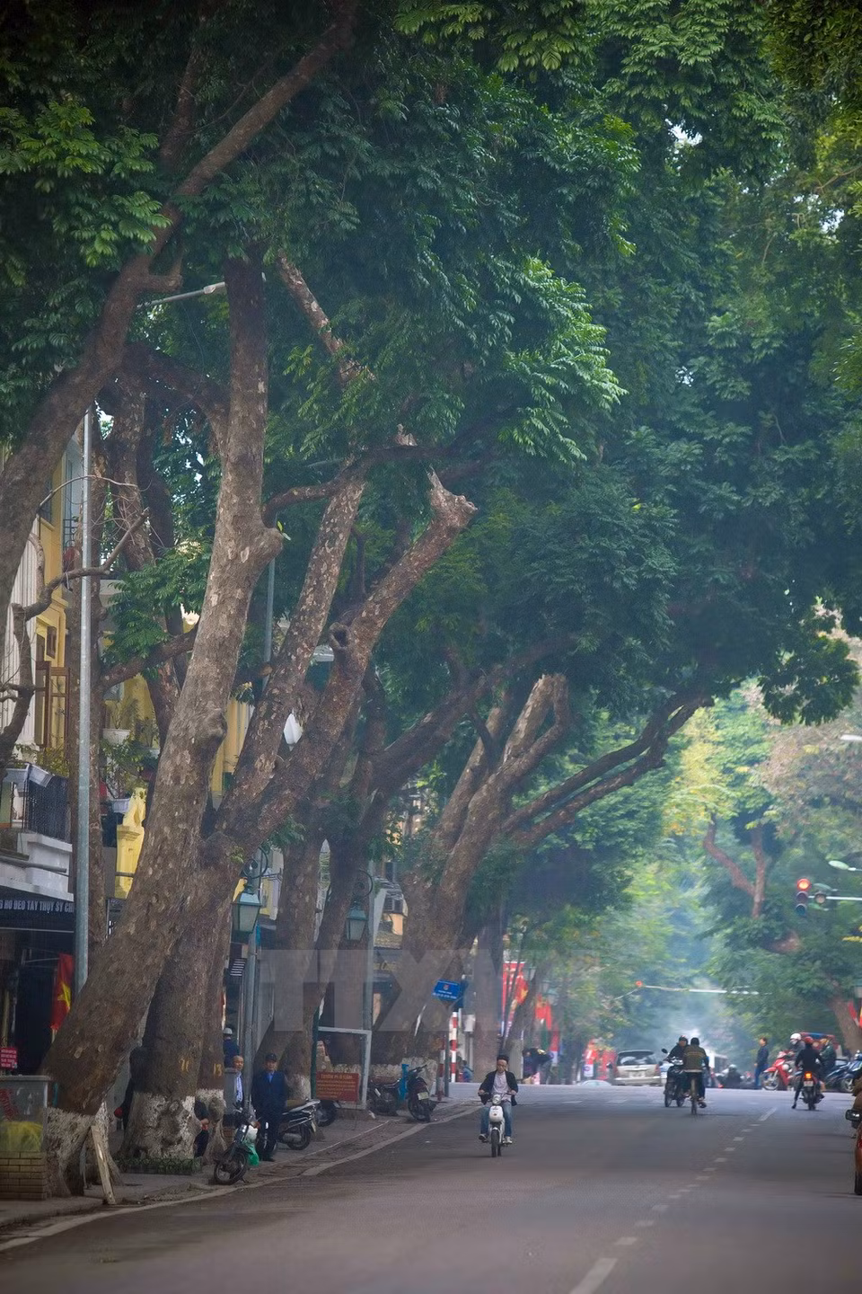 Calle Hang Khay, al lado del Lago Hoan Kiem (Fuente: VNA)