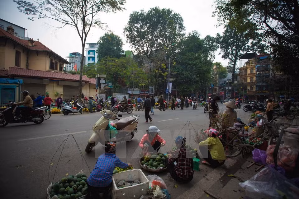 Se abre un mercado temporáneo donde se venden productos agrícolas procedentes de los alrededores de Hanoi (Fuente: VNA)