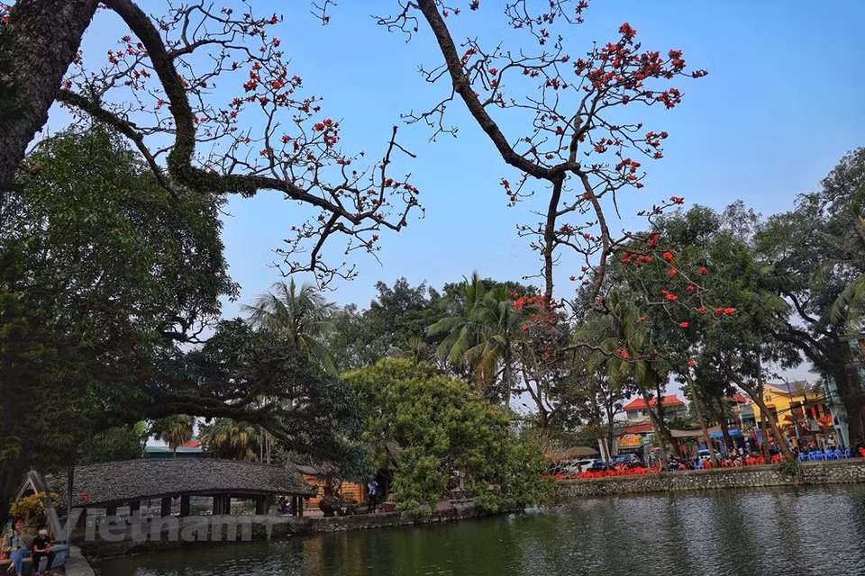 Según la leyenda, la pagoda Thay en la comuna de Sai Son del distrito capitalino de Quoc Oai fue construida en el siglo XI de la dinastía Lý y sobre una tierra con forma de dragón, mirando hacia el sur. La pagoda está frente a la montaña Long Dau, mientras que su parte posterior y lado derecho se inclinan sobre la montaña Sai Son. Se trata de una de las pagodas budistas más antiguas de Vietnam y un centro de peregrinaje durante el Tet (Año Nuevo Lunar). Como las pagodas de Tay Phuong y Huong (Perfume), este lugar siempre atrae gran cantidad de visitantes durante los días festivos. En la pagoda Thay, se han conservado numerosas estatuas budistas antiguos, incluidas el Buda Amitabha, Avalokitesvara Bodhisattva de la compasión y la misericordia, y la Mahasthamaprapta Bodhisattva que representa el poder de la sabiduría. (Foto: Vietnam+)