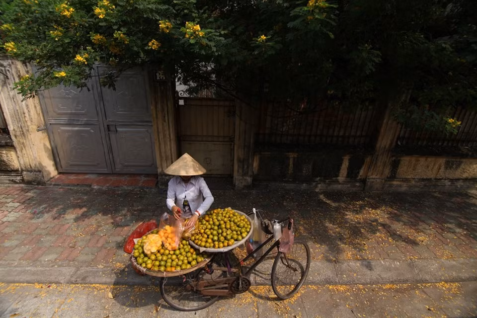 Segundo premio del concurso (Autor:Nguyen Quang Minh)