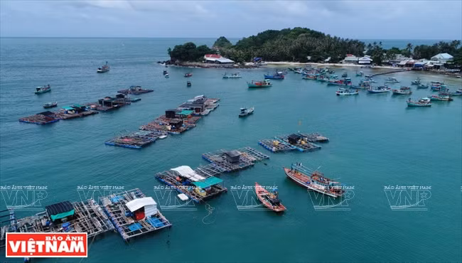 Las jaulas flotantes de acuicultura en la costa de Nam Du. Foto: Nguyen Luan/VNA