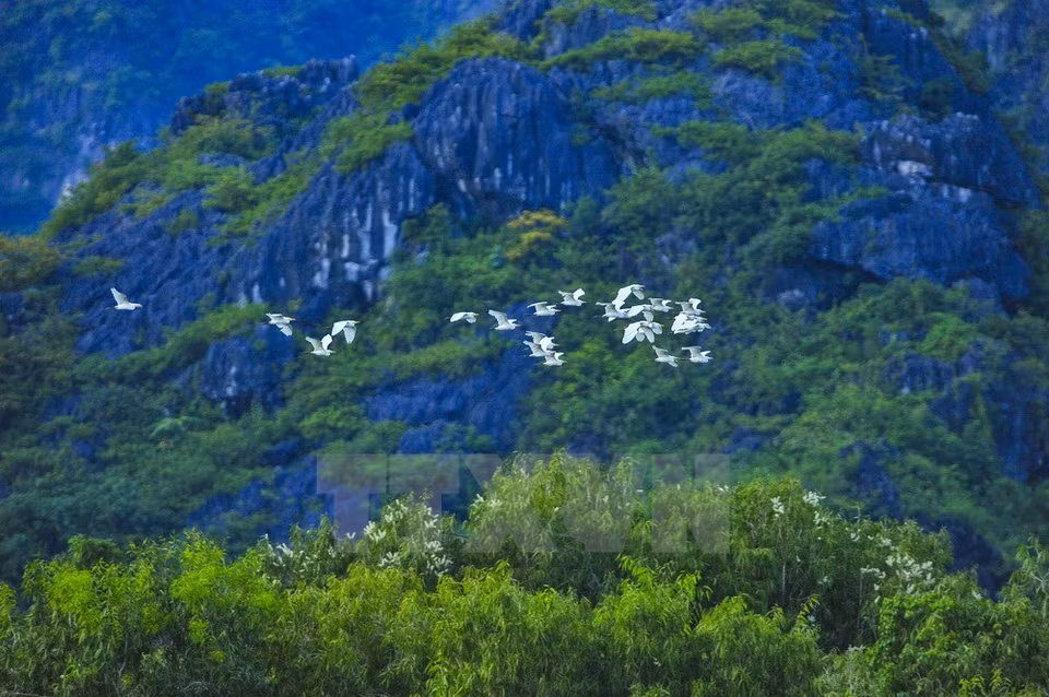 Fuente:VNA