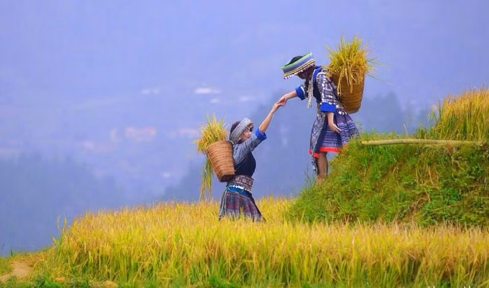 Mu Cang Chai durante la temporada de cosecha de arroz