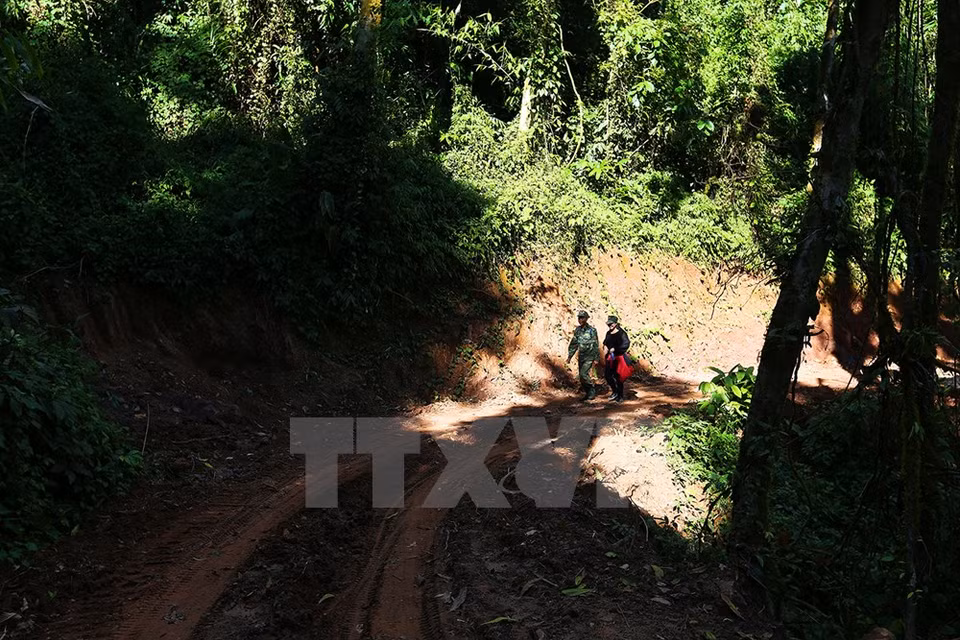 La ruta es rodeada por bosques (Fuente: VNA)