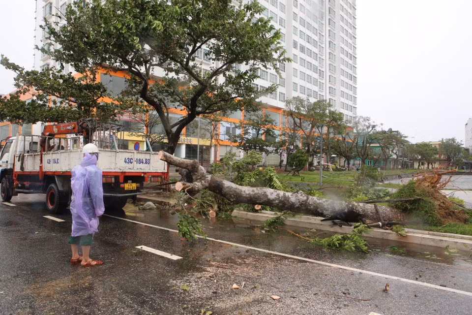 Manejo de árboles caídos a consecuencia de la tormenta Noru, para garantizar el tráfico en las carreteras de Da Nang (Fuente: VNA)