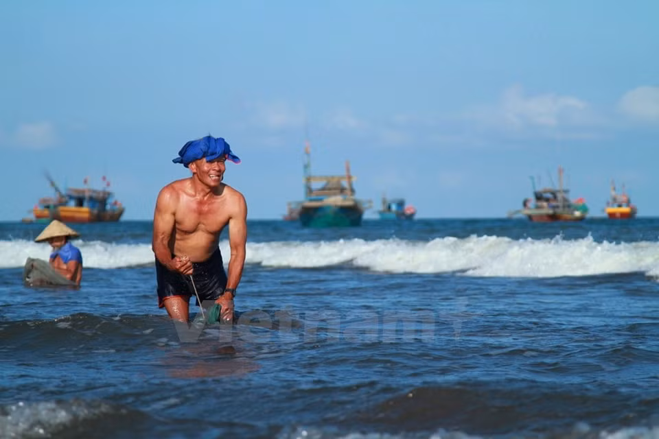 Según Nuong, los crustáceos mueven en densos flujos que hacen rojiza la superficie de agua. Sabiendo este hábito, los pescadores arrastran la red en contra la corriente para capturarlos. 