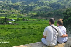 Turismo de Vietnam mantiene un fuerte impulso de crecimiento