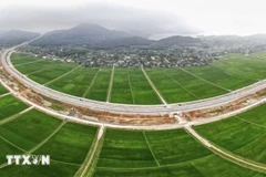 Vietnam completará base de datos de tierras en 2026. Foto: VNA