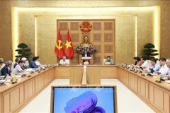 Vietnam lanza modelo público-privado para potenciar economía nacional. (Foto: VNA)