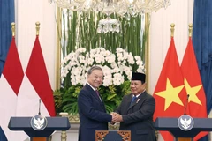 El secretario general del Partido Comunista de Vietnam, To Lam, y el Presidente de Indonesia, Prabowo Subianto. Foto: VNA 